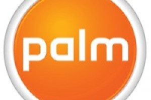 Palm